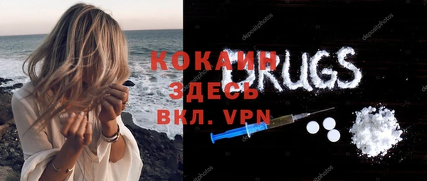 ALPHA PVP Инсар