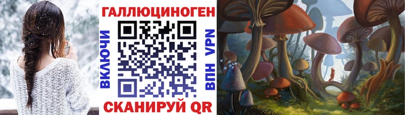 Псилоцибиновые грибы Psilocybine cubensis  Купить закладки  Змеиногорск 